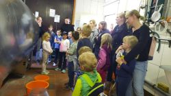 K800_20250507_161742