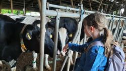 K800_20250507_162331