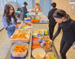 K800_PHOTO-2026-02-16-11-41-56